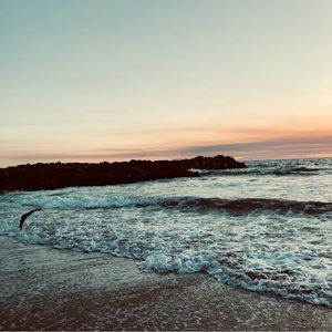 Meet your Posher, Ciro